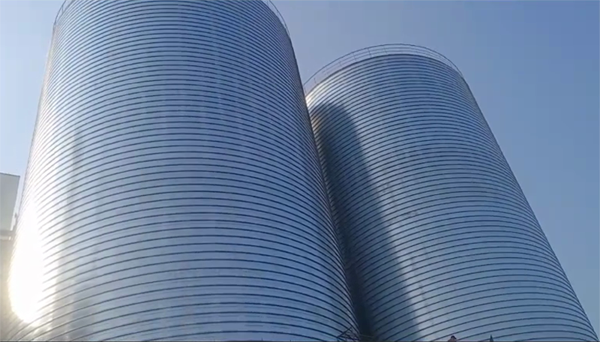 汉寿2座混凝土高架卷板仓